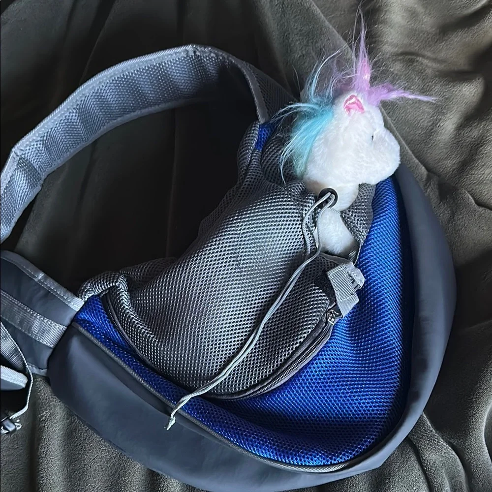 Blue and Gray pet carrier backpack